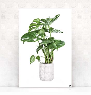 HIP ORGNL® Holy Leaf - 80 x 120 cm, Blanc 1