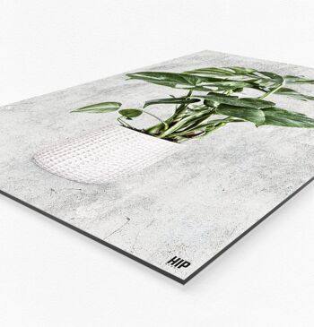 HIP ORGNL® Holy Leaf - 100 x 150 cm, Noir 6