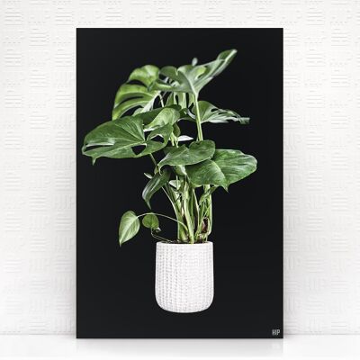 HIP ORGNL® Holy Leaf - 80 x 120 cm, Zwart