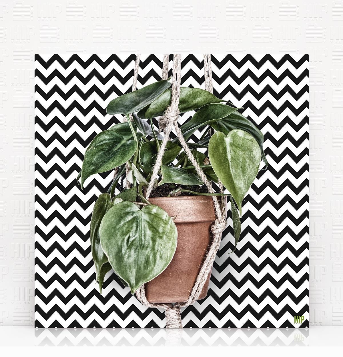 HIP ORGNL® Scandy Corde - 40 x 40 cm, Zigzag