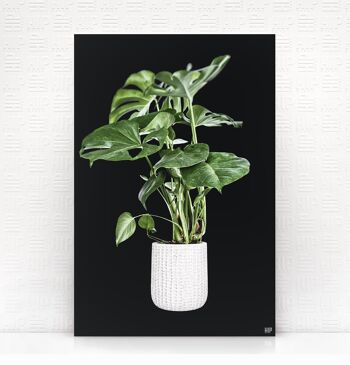 HIP ORGNL® Holy Leaf - 40 x 60 cm, Blanc 5