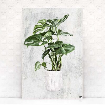 HIP ORGNL® Heiliges Blatt - 40 x 60 cm, Stein