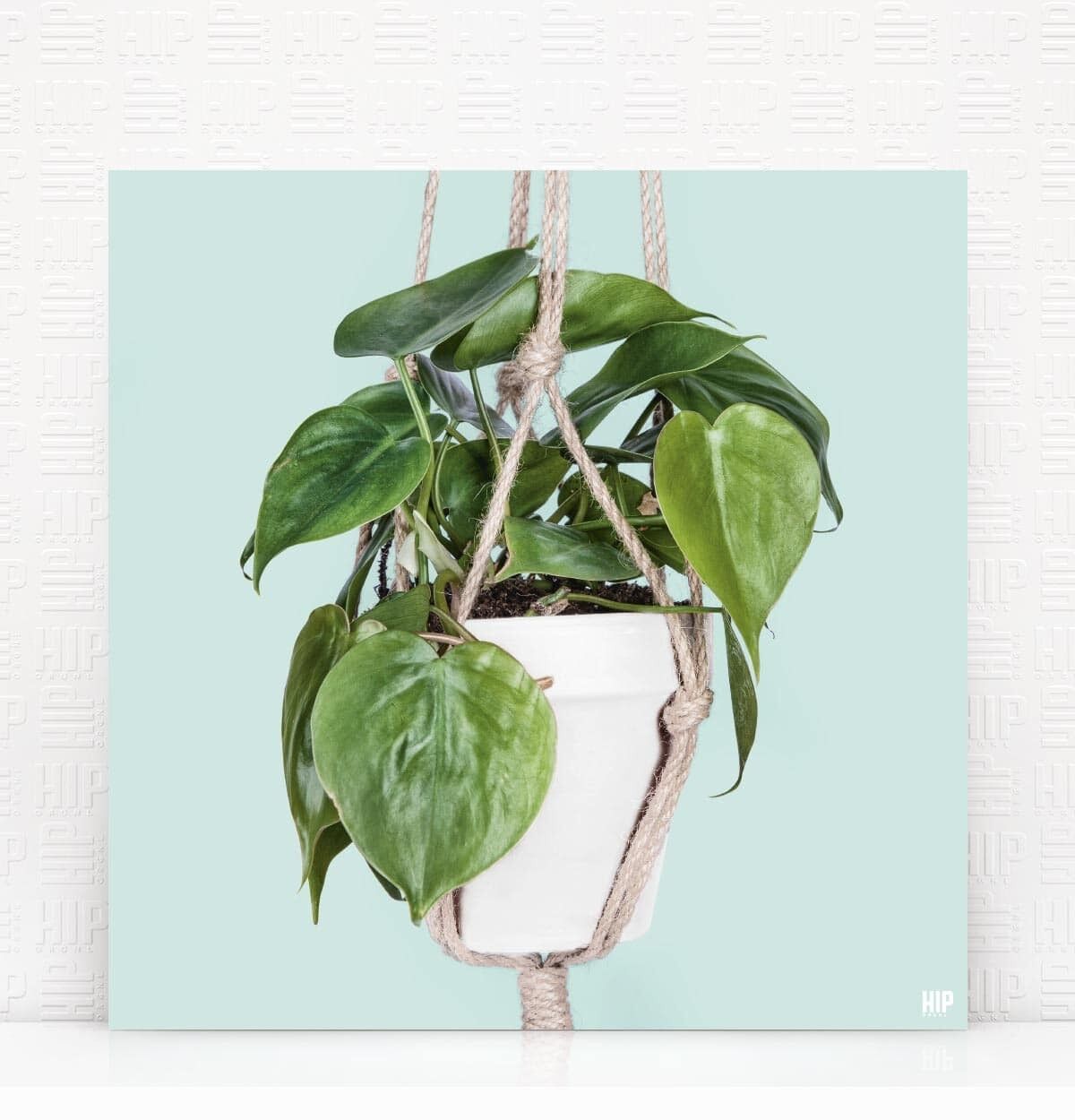 HIP ORGNL® Scandy Corde - 60 x 60 cm, Menthe