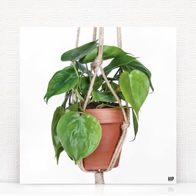 HIP ORGNL® Scandy Cuerda - 40 x 40 cm, Blanco