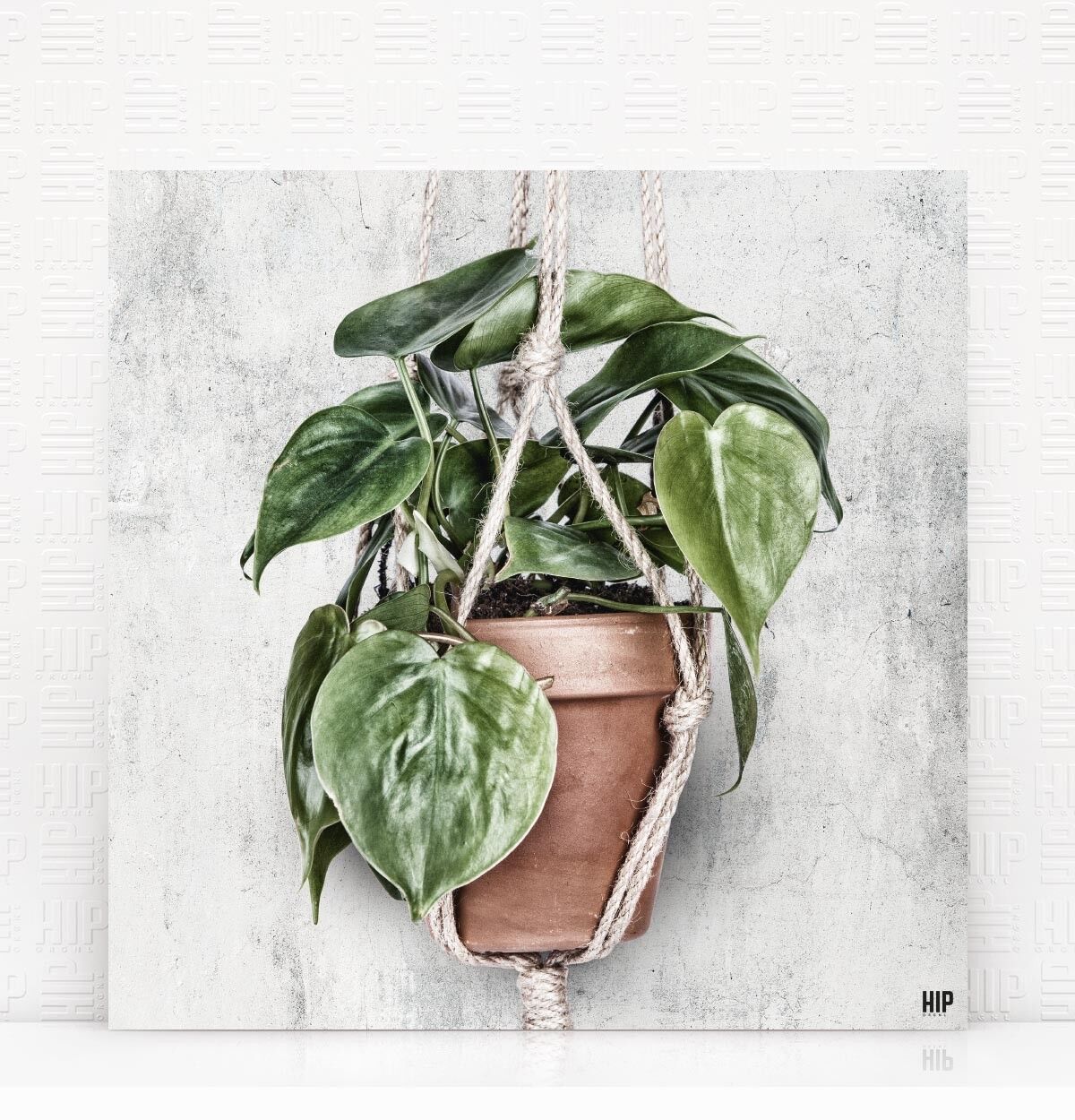 HIP ORGNL® Corda Scandy - 40 x 40 cm, Pietra