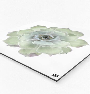 Diamant HIP ORGNL® - 60 x 60 cm, Rose 4