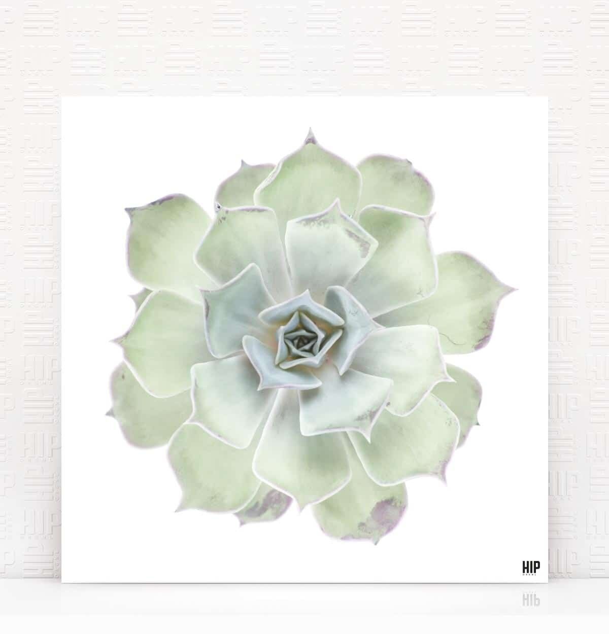 HIP ORGNL® Diamante - 40 x 40 cm, verde tenue