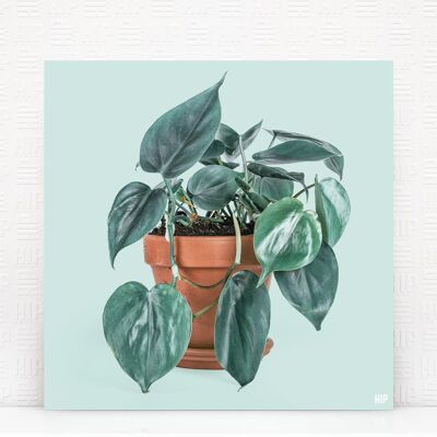 HIP ORGNL® Scandy - 60 x 60 cm, Mint