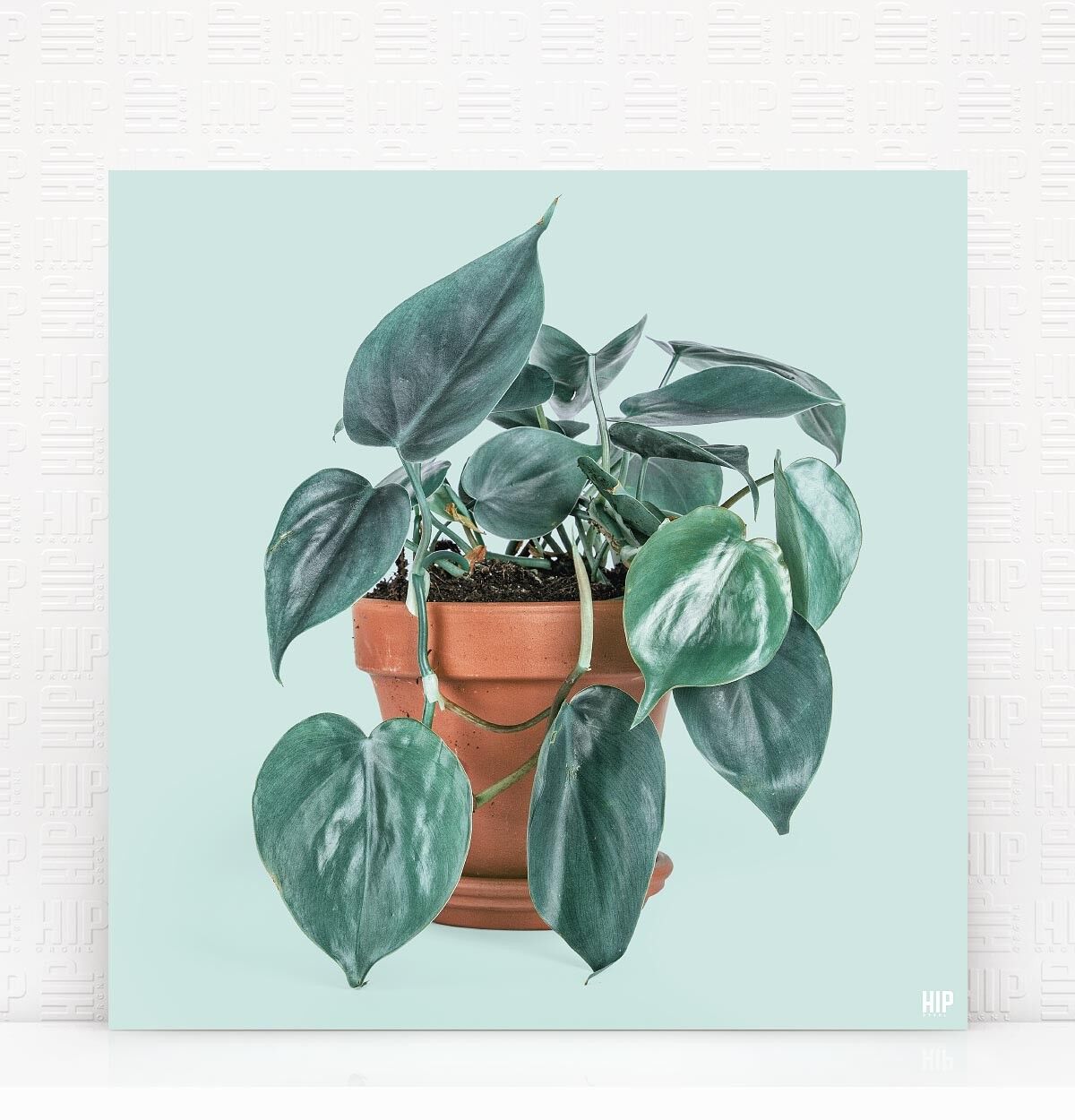 HIP ORGNL® Scandy - 40 x 40 cm, Menta