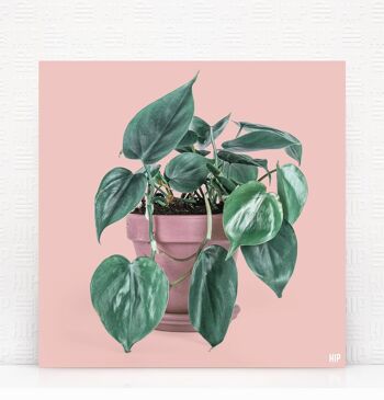 HIP ORGNL® Scandy - 40 x 40 cm, Menthe 4