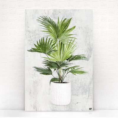HIP ORGNL® Coucher de soleil - 40 x 60 cm, Pierre