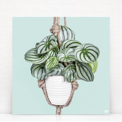 HIP ORGNL® Corda Anguria - 100 x 100 cm, Menta
