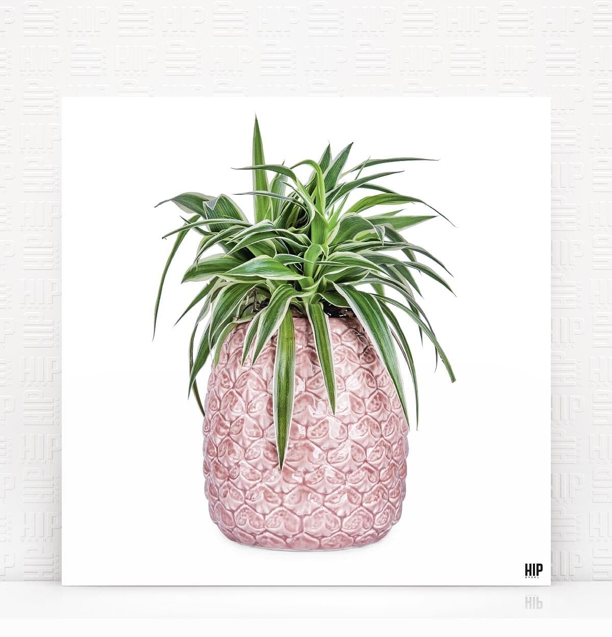 HIP ORGNL® Oceano - 40 x 40 cm, bianco