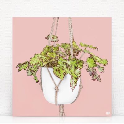 Cuerda HIP ORGNL® Rondeau - 60 x 60 cm, rosa suave