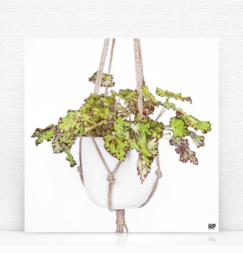 HIP ORGNL® Rondeau Rope - 40 x 40 cm, Wit