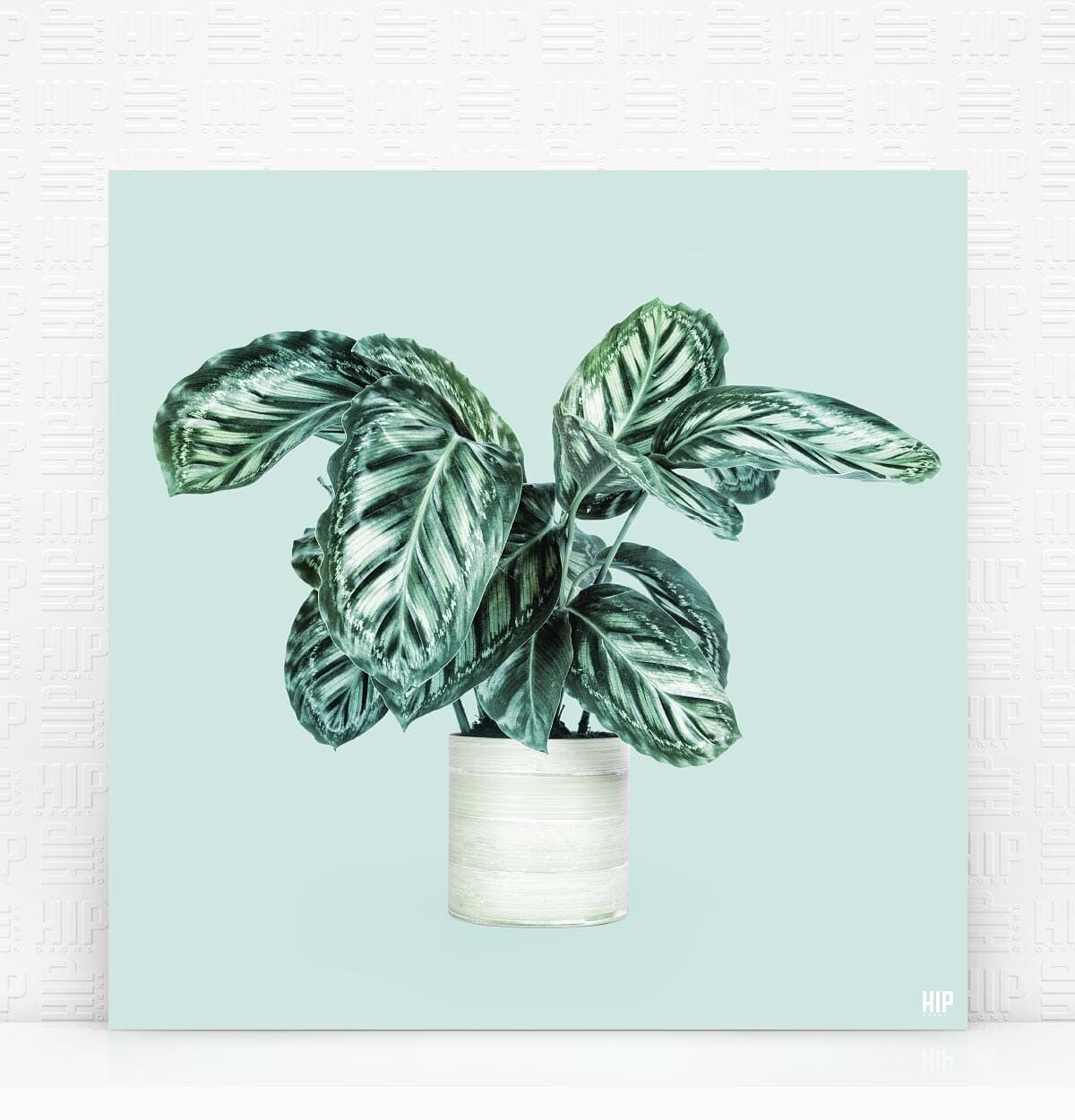 HIP ORGNL® Pavone - 40 x 40 cm, Menta