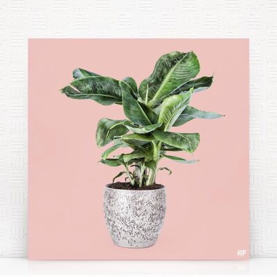 HIP ORGNL® Banane - 40 x 40 cm, Rose tendre