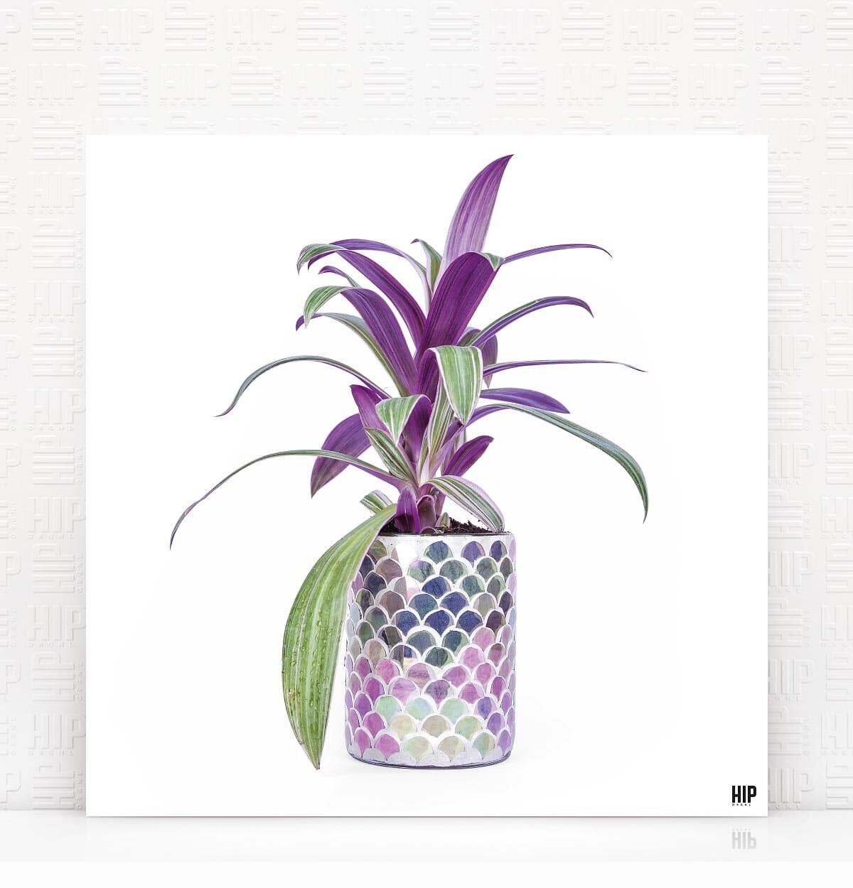 HIP ORGNL® Casablanca - 60 x 60 cm, bianco