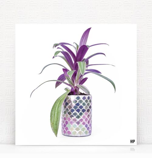 HIP ORGNL® Casablanca - 40 x 40 cm, Wit