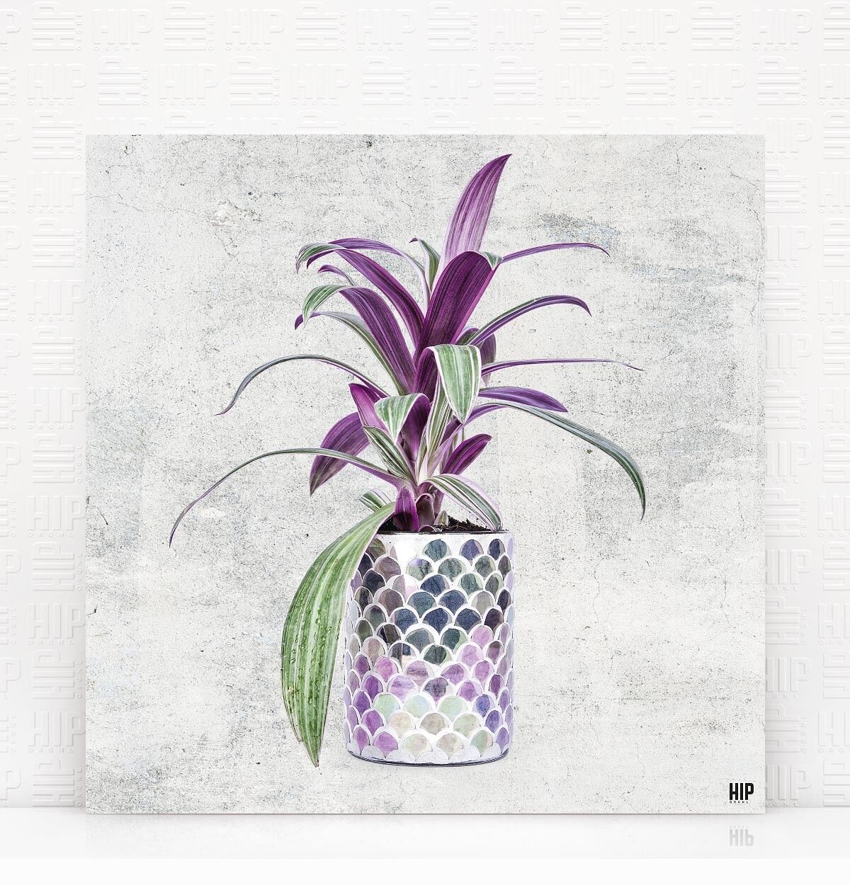 HIP ORGNL® Casablanca - 60 x 60 cm, Pietra