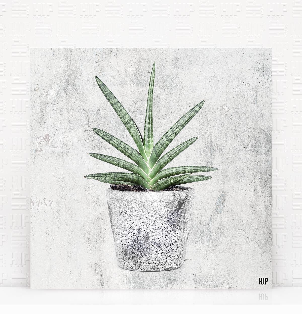 HIP ORGNL® Lingua - 40 x 40 cm, Pietra