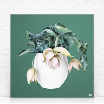 HIP ORGNL® Magnifica - 60 x 60 cm, Verde intenso