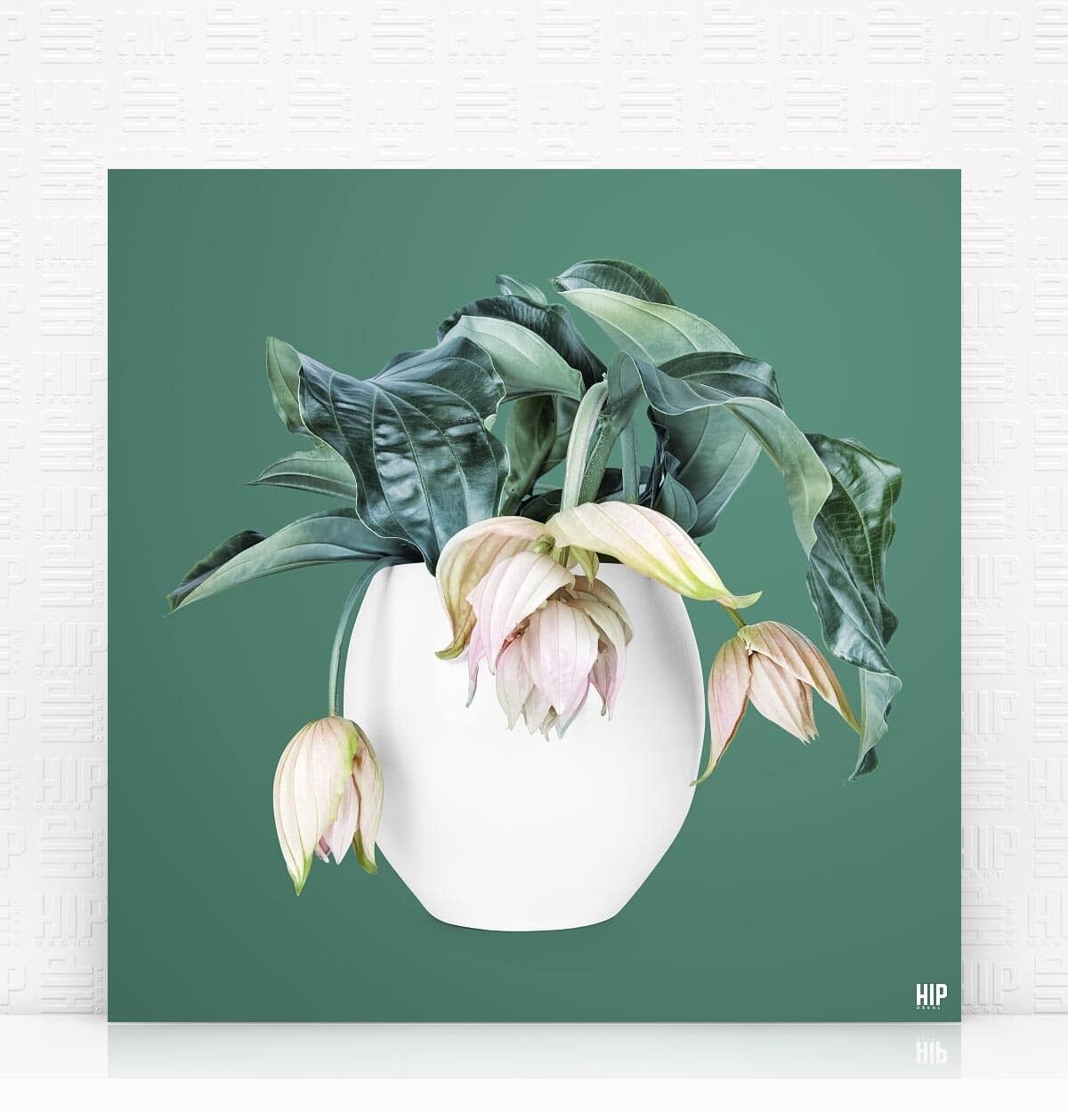 HIP ORGNL® Magnifica - 40 x 40 cm, verde intenso