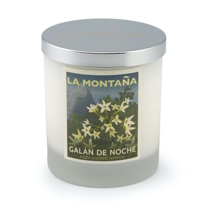 Galán De Noche scented candle