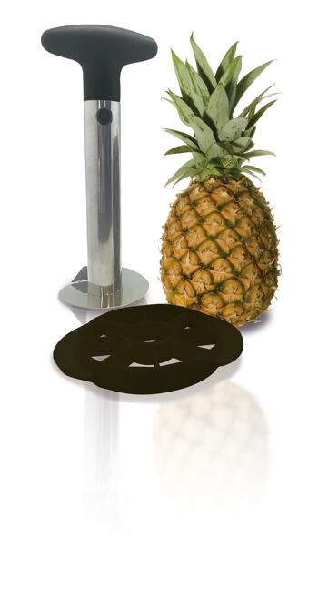 Coupe-ananas, acier inoxydable, noir et gris, 4,75 po 6