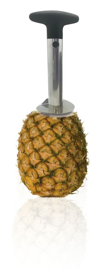 Coupe-ananas, acier inoxydable, noir et gris, 4,75 po 7