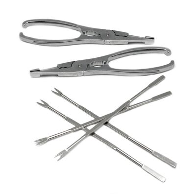 Set of stainless steel seafood utensils, two tongs and four skewers