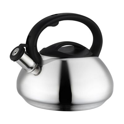 Induction kettle 3 liters