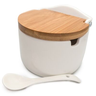Porcelain Salt Shaker with Wooden Lid and Spoon, White