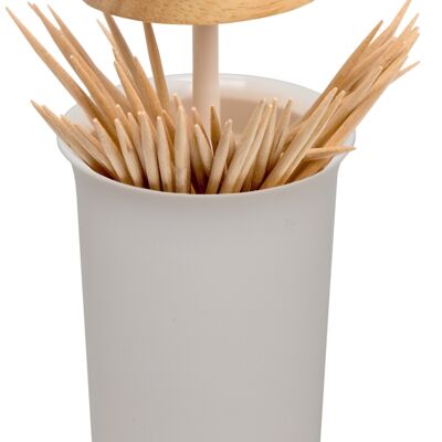 Push & up toothpick dispenser