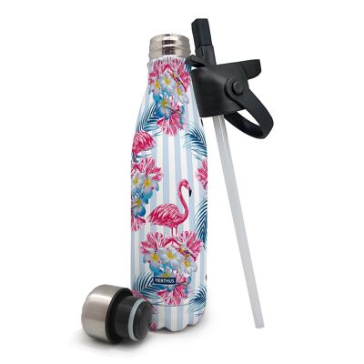 Double-walled stainless steel bottle. with straw cap + steel cap: Flamingos