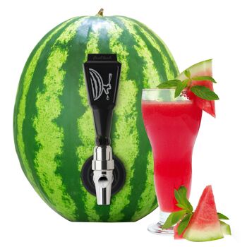Final Touch Watermelon and Pumpkin Keg Tapping Kit 10