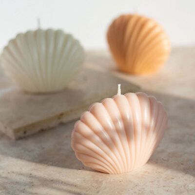 Opal Living Shell Candle / Pastel Pink