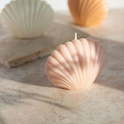 Opal Living Shell Candle / Pastel Pink