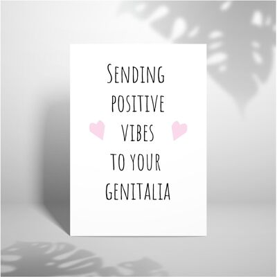 Vibras positivas