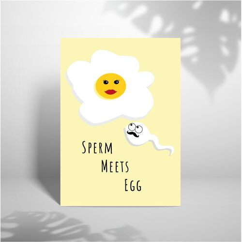 Sperm Meets Egg