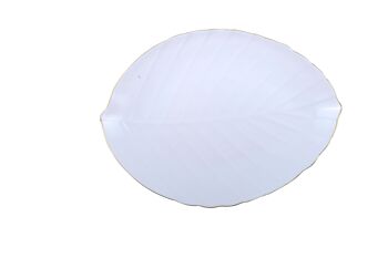 Assiette plate feuille blanche 1