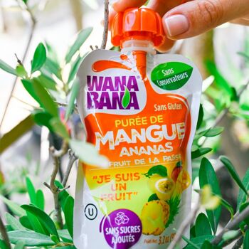 PURÉE "WANA BANA" DE MANGUE, D'ANANAS ET DE FRUITS DE LA PASSION  - 90 g 3