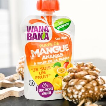 PURÉE "WANA BANA" DE MANGUE, D'ANANAS ET DE FRUITS DE LA PASSION  - 90 g 6