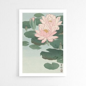 Nénuphar - Affiche encadrée - 50 x 70 cm 3