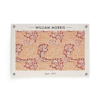 William Morris - Pomme - Affiche - 40 x 60 cm 5