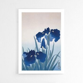 Iris Bleu - Affiche - 40 x 60 cm 3