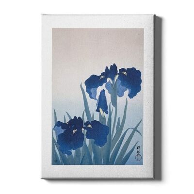 Blue Iris - Poster framed - 50 x 70 cm