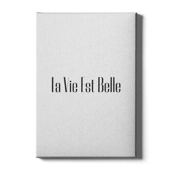 La Vie Est Belle - Affiche - 40 x 60 cm 6