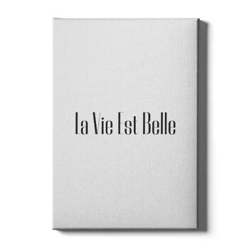 La Vie Est Belle - Affiche encadrée - 40 x 60 cm 6