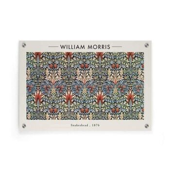 William Morris - Tête de serpent - Toile - 40 x 60 cm 5